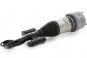 Amortisseur V jambe de suspension pneumatique gauche  - Image 1