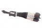 Amortisseur V droit jambe de suspension pneumatique  - Image 1