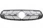 Calandre argent iridium mat  - Image 1