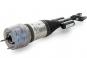 Amortisseur V jambe de suspension pneumatique gauche  - Image 2