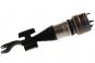 Amortisseur V jambe de suspension pneumatique 4M  - Image 2