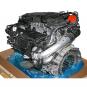Moteur essence 256930  - Image 2