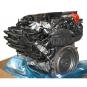 Moteur essence BM256830  - Image 2