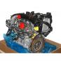 Moteur essence  - Image 2