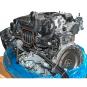 Moteur essence BM264915  - Image 2