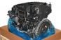 Moteur essence 264920  - Image 2